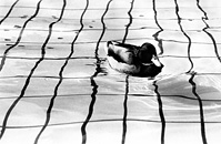 art photography &copy; Nick Chaldakov